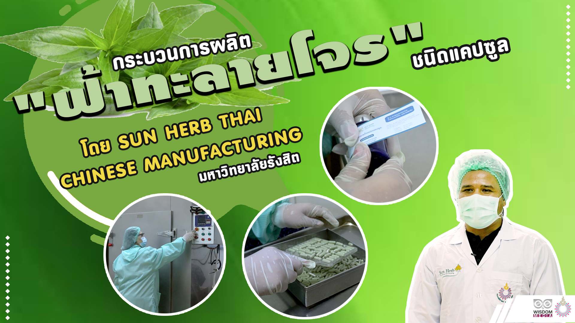 ม.รังสิต ผลิตยา “ฟ้าทะลายโจร” ผลิตโดย Sun Herb Thai Chinese Manufacturing