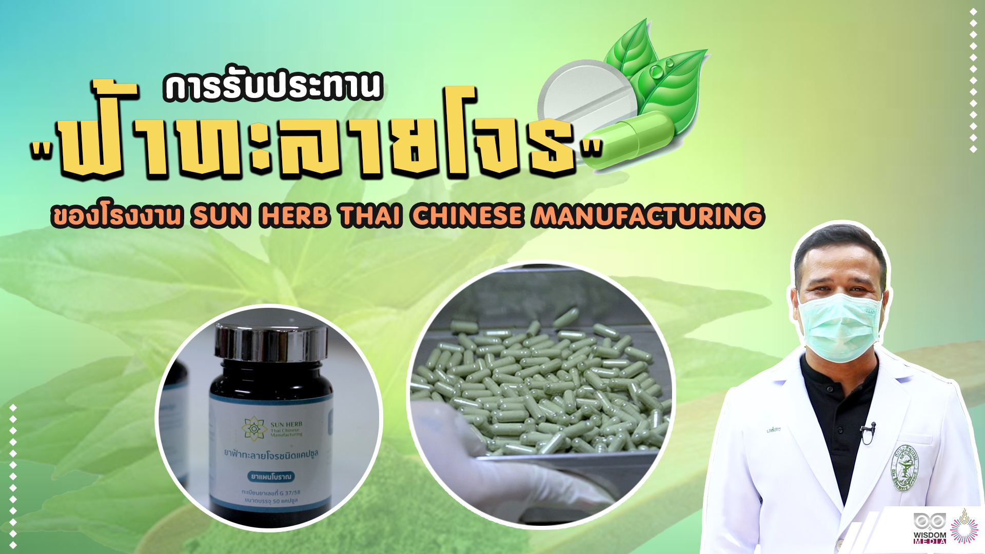 การรับประทานยาฟ้าทะลายโจรชนิดแคปซูล ผลิตโดยโรงงาน SUN HERB THAI CHINESE MANUFACTURING